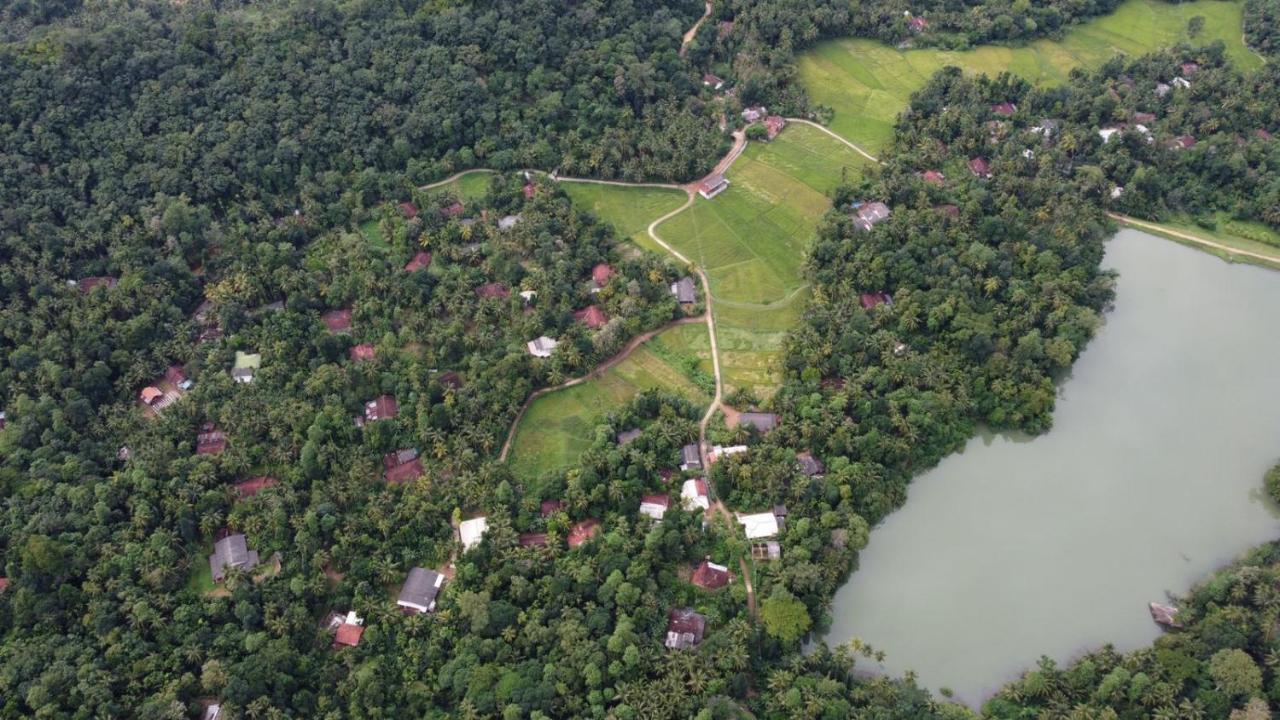 Вілла Coconut Escapes Курунегала Екстер'єр фото