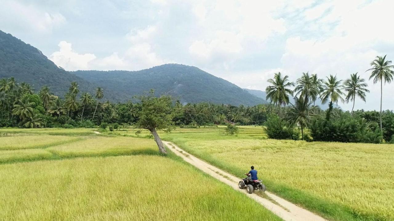 Вілла Coconut Escapes Курунегала Екстер'єр фото