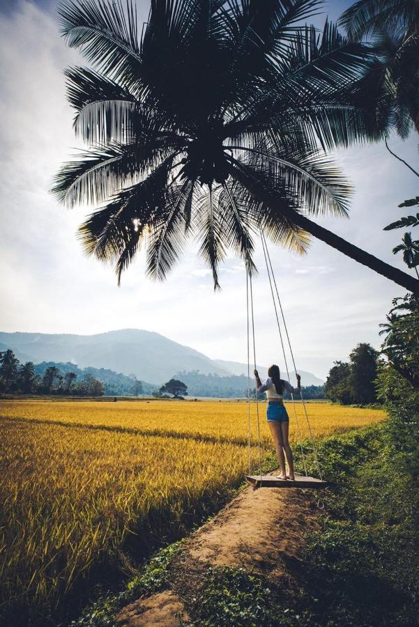 Вілла Coconut Escapes Курунегала Екстер'єр фото